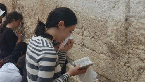 娱乐吃瓜君顶流,顶流明星背后的故事与真相